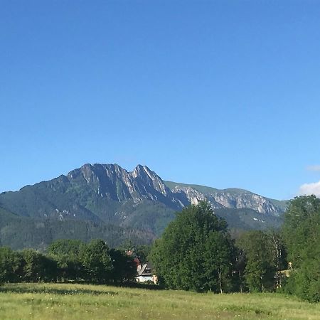 Camping Zakopane Willa Skoczek Oferta Nie Dotyczy Noclegu W Pokoju ,W Namiocie Reczniki Woda Mineralna , Koldra Poduszki Lub Spiwory 外观 照片
