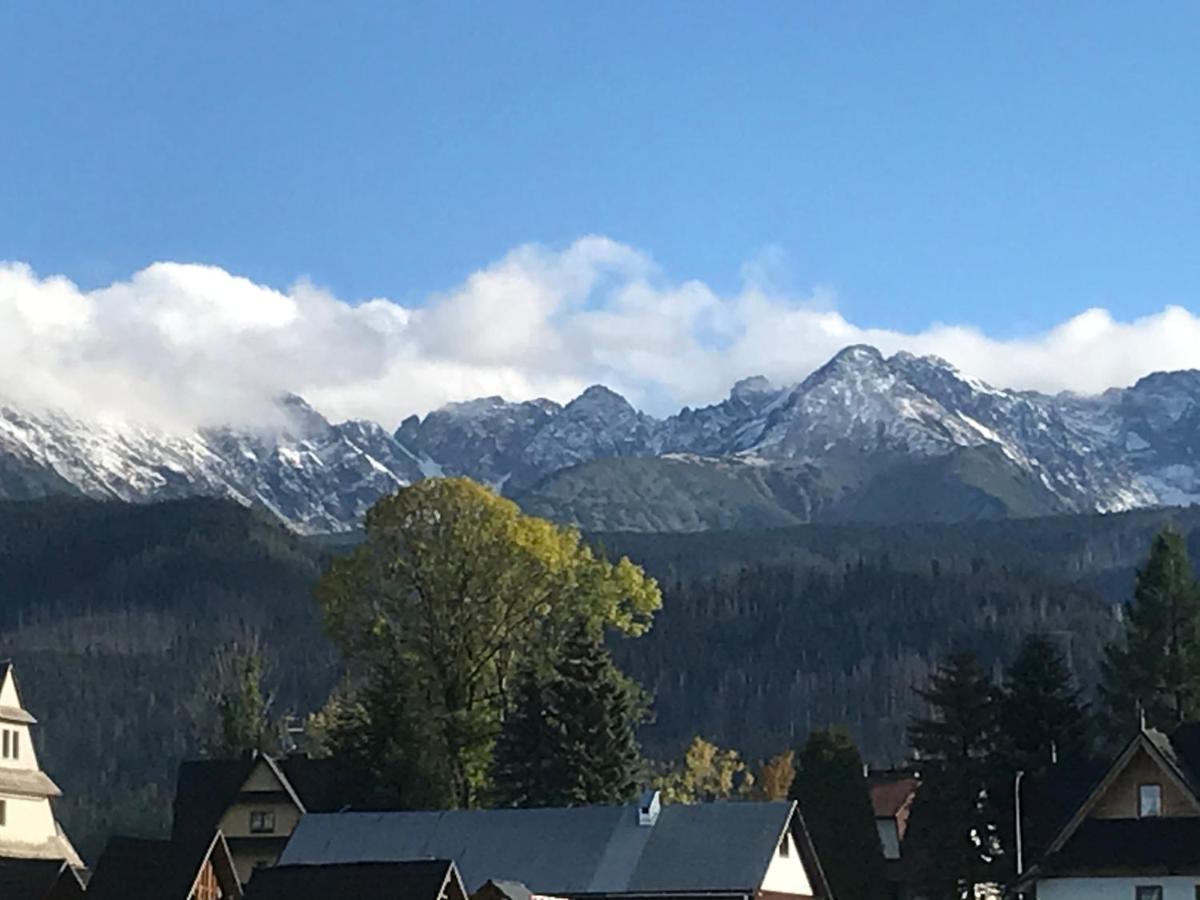 Camping Zakopane Willa Skoczek Oferta Nie Dotyczy Noclegu W Pokoju ,W Namiocie Reczniki Woda Mineralna , Koldra Poduszki Lub Spiwory 外观 照片