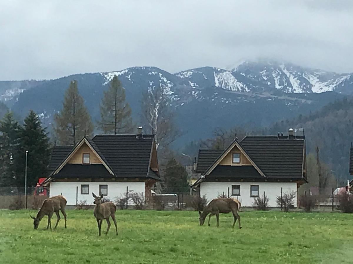 Camping Zakopane Willa Skoczek Oferta Nie Dotyczy Noclegu W Pokoju ,W Namiocie Reczniki Woda Mineralna , Koldra Poduszki Lub Spiwory 外观 照片