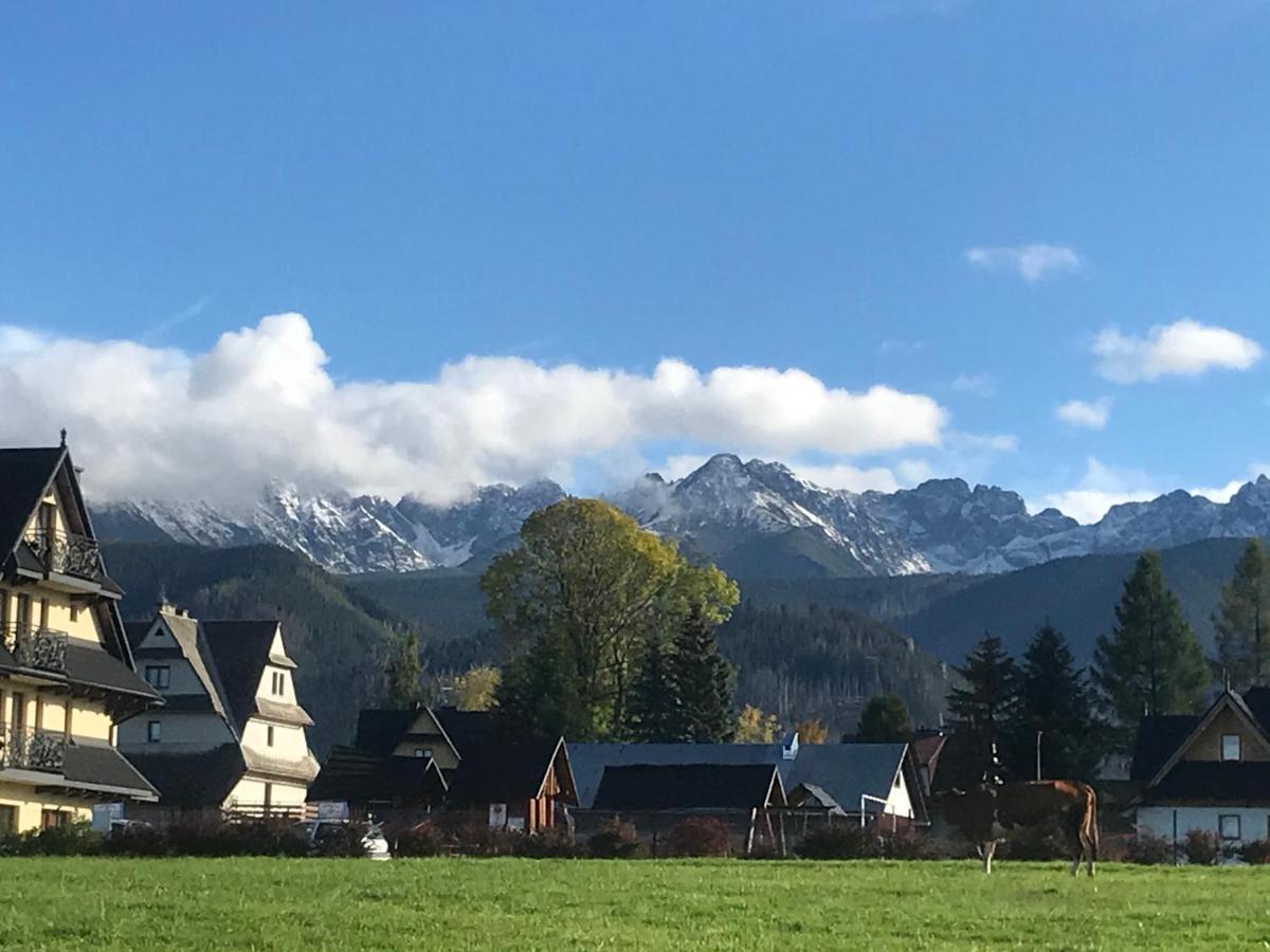 Camping Zakopane Willa Skoczek Oferta Nie Dotyczy Noclegu W Pokoju ,W Namiocie Reczniki Woda Mineralna , Koldra Poduszki Lub Spiwory 外观 照片