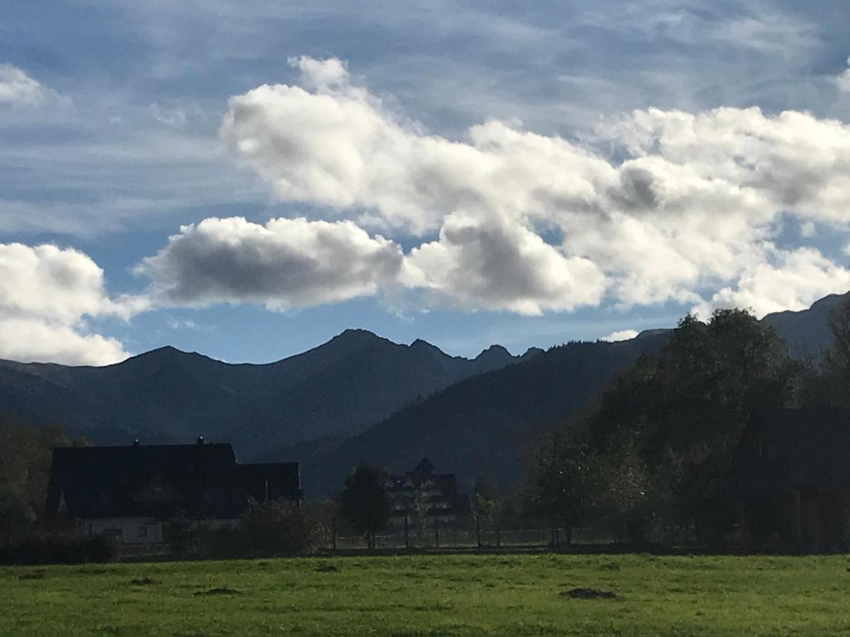 Camping Zakopane Willa Skoczek Oferta Nie Dotyczy Noclegu W Pokoju ,W Namiocie Reczniki Woda Mineralna , Koldra Poduszki Lub Spiwory 外观 照片