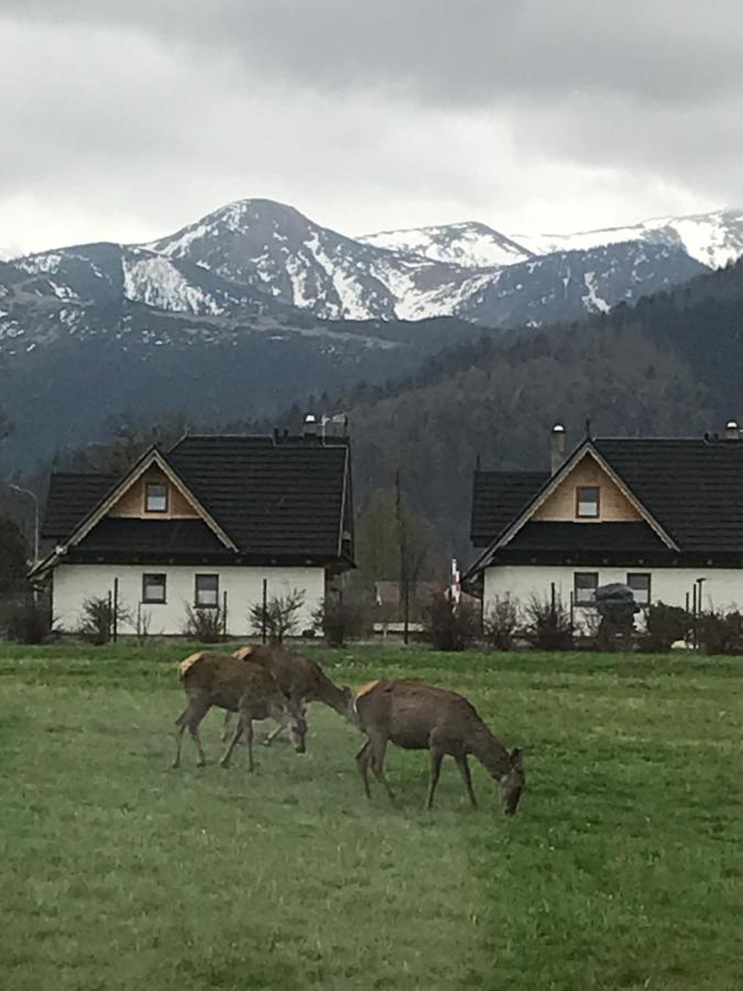Camping Zakopane Willa Skoczek Oferta Nie Dotyczy Noclegu W Pokoju ,W Namiocie Reczniki Woda Mineralna , Koldra Poduszki Lub Spiwory 外观 照片