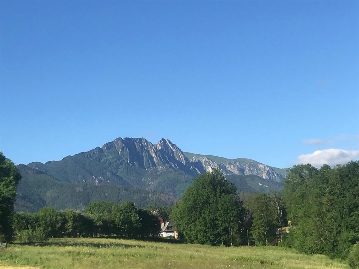 Camping Zakopane Willa Skoczek Oferta Nie Dotyczy Noclegu W Pokoju ,W Namiocie Reczniki Woda Mineralna , Koldra Poduszki Lub Spiwory 外观 照片