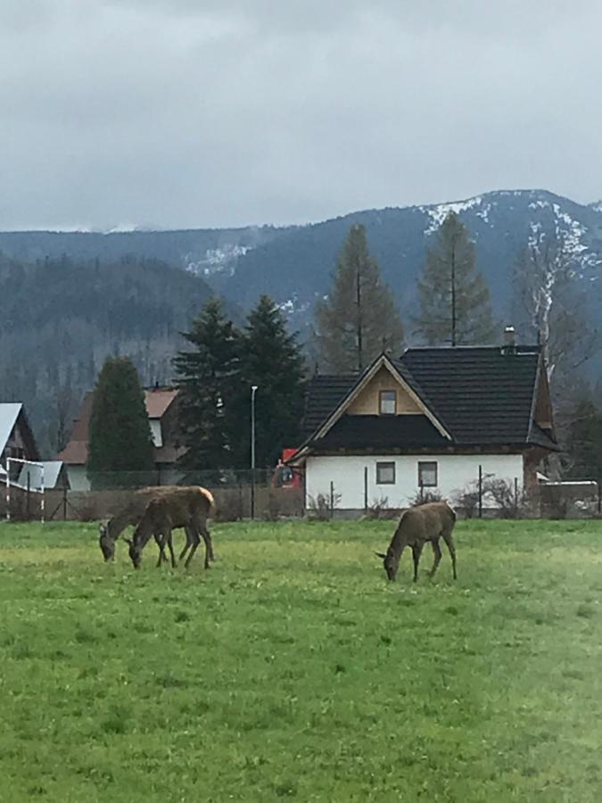 Camping Zakopane Willa Skoczek Oferta Nie Dotyczy Noclegu W Pokoju ,W Namiocie Reczniki Woda Mineralna , Koldra Poduszki Lub Spiwory 外观 照片