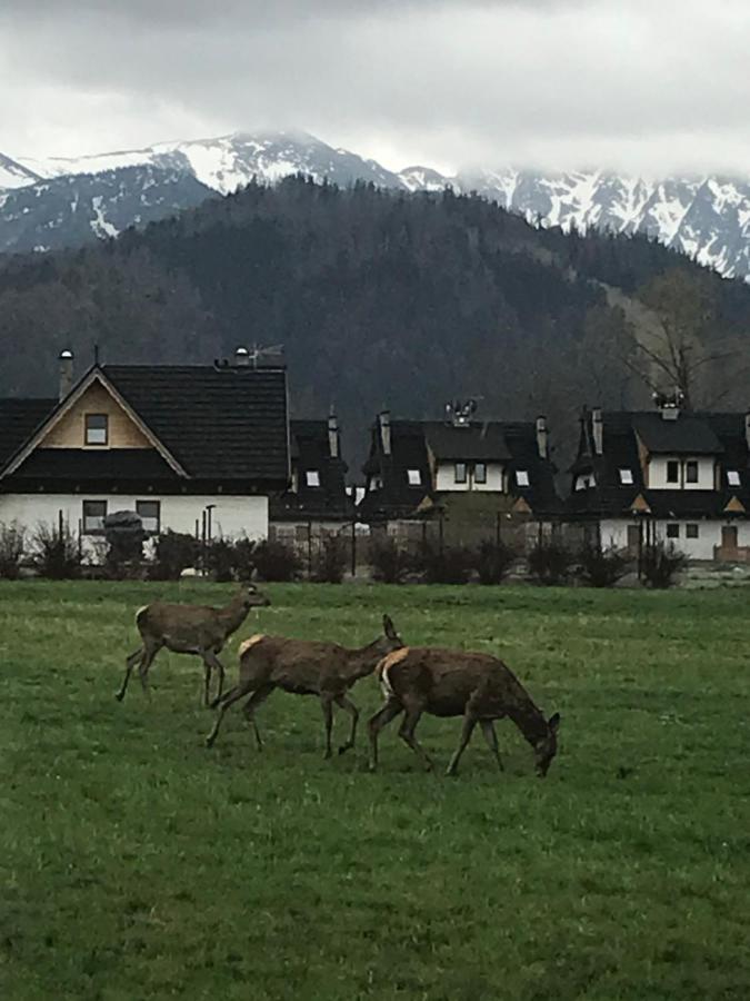 Camping Zakopane Willa Skoczek Oferta Nie Dotyczy Noclegu W Pokoju ,W Namiocie Reczniki Woda Mineralna , Koldra Poduszki Lub Spiwory 外观 照片