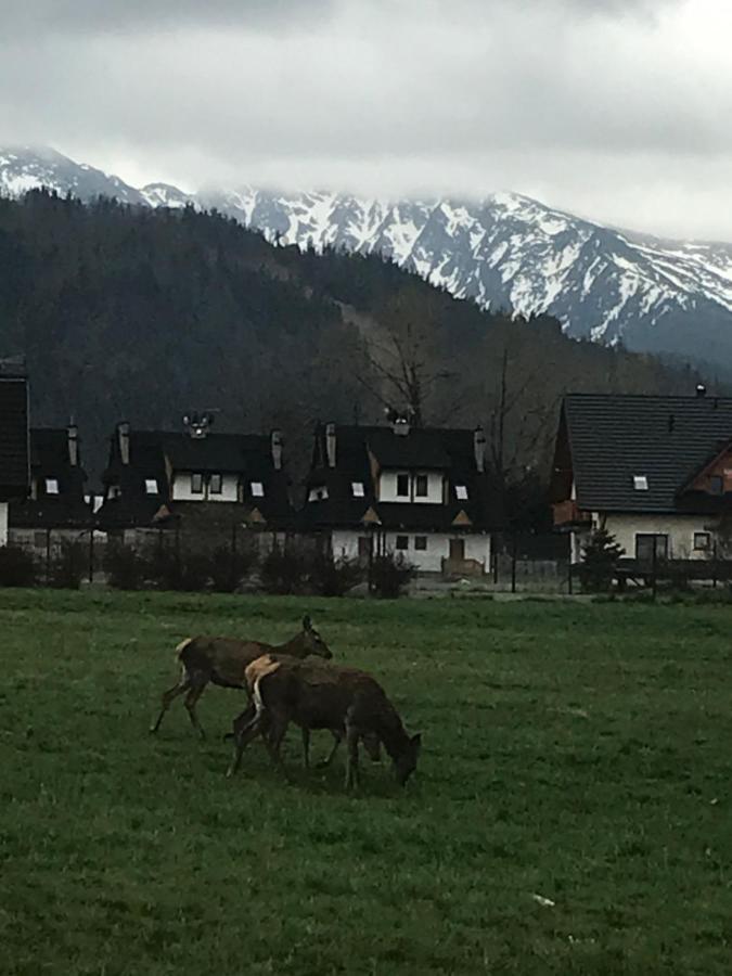 Camping Zakopane Willa Skoczek Oferta Nie Dotyczy Noclegu W Pokoju ,W Namiocie Reczniki Woda Mineralna , Koldra Poduszki Lub Spiwory 外观 照片
