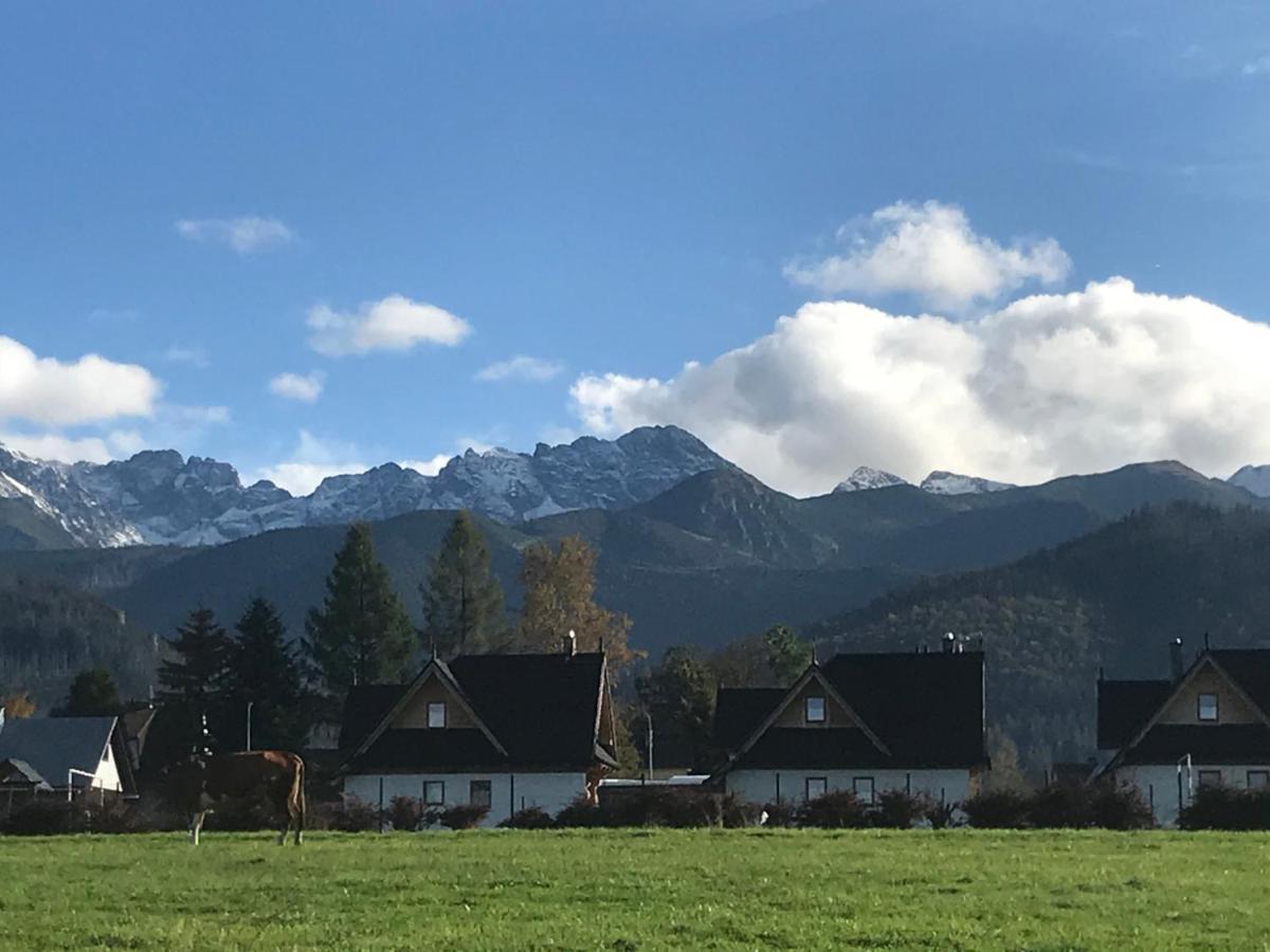 Camping Zakopane Willa Skoczek Oferta Nie Dotyczy Noclegu W Pokoju ,W Namiocie Reczniki Woda Mineralna , Koldra Poduszki Lub Spiwory 外观 照片