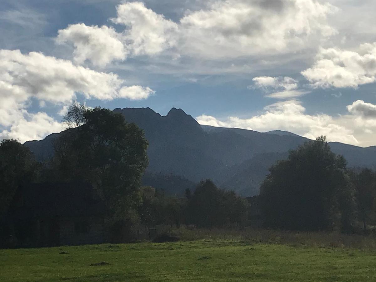 Camping Zakopane Willa Skoczek Oferta Nie Dotyczy Noclegu W Pokoju ,W Namiocie Reczniki Woda Mineralna , Koldra Poduszki Lub Spiwory 外观 照片